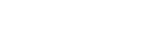 Prince Video Solutions Logo